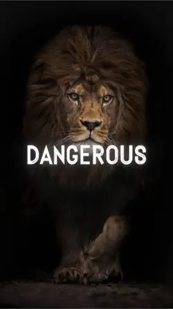 Dangerous Anger 