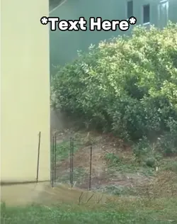 Gorilla meme 