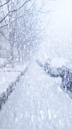 Snow scene