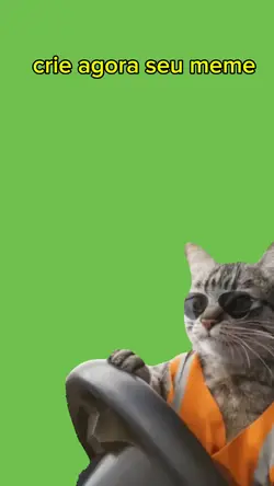 gato no volante