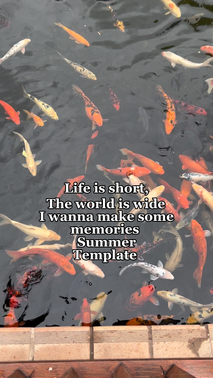 Mamma Mia summer