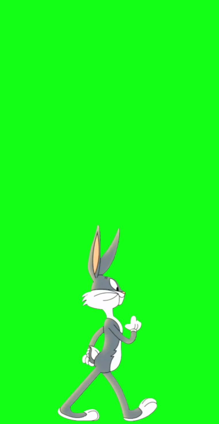  Tela verde coelho 