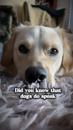 Do you listen?๐ฉต๐