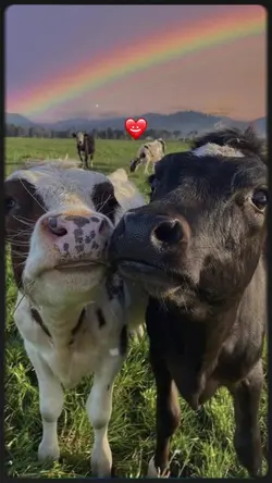 TREND BEST FRIENDS