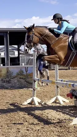 Equestrian slomo 🫶
