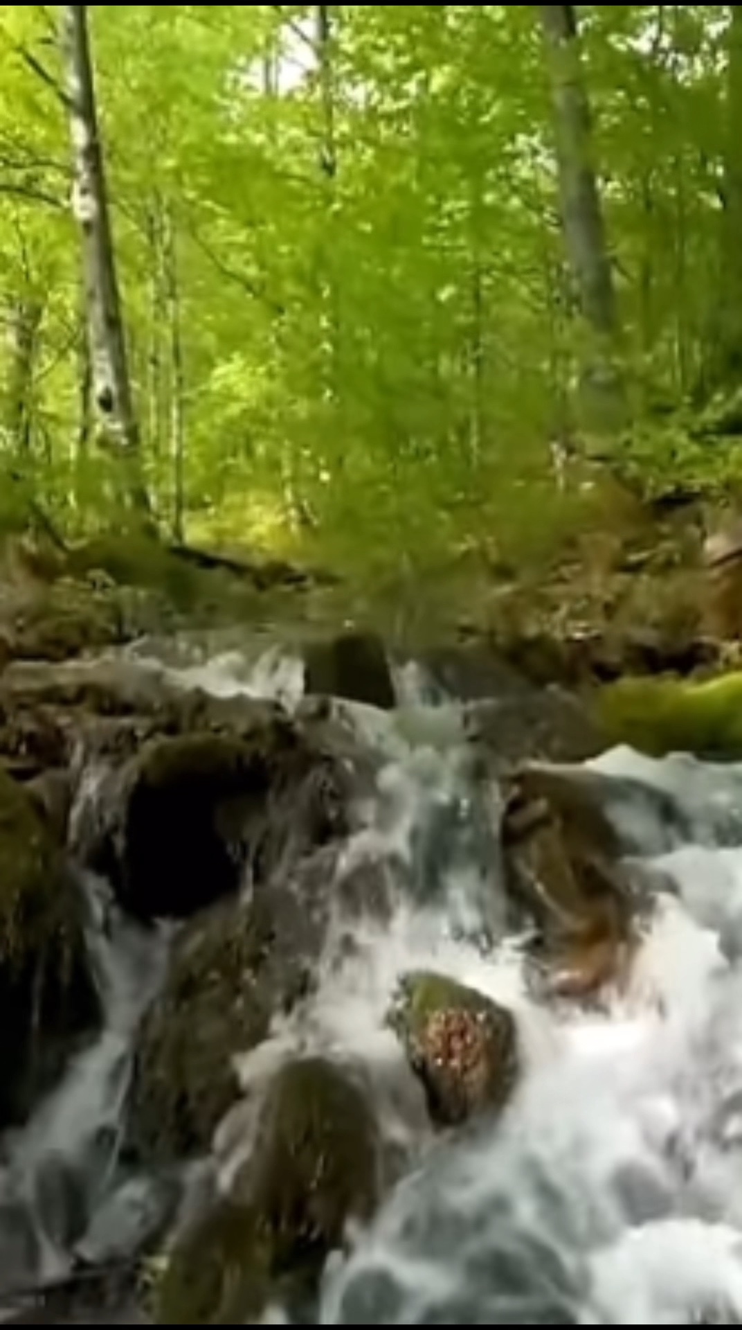 No es una naturaleza asombrosa