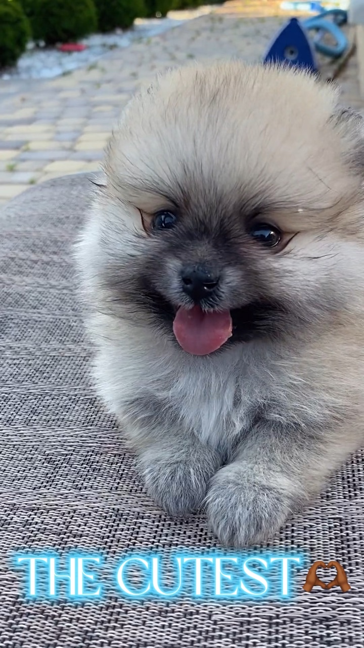 귀염둥이
