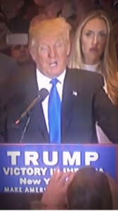 Donald Trump Edit
