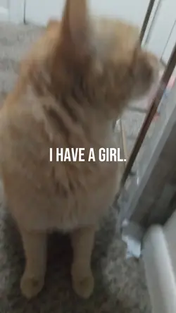 My cat!