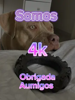 Somos nK seguidores