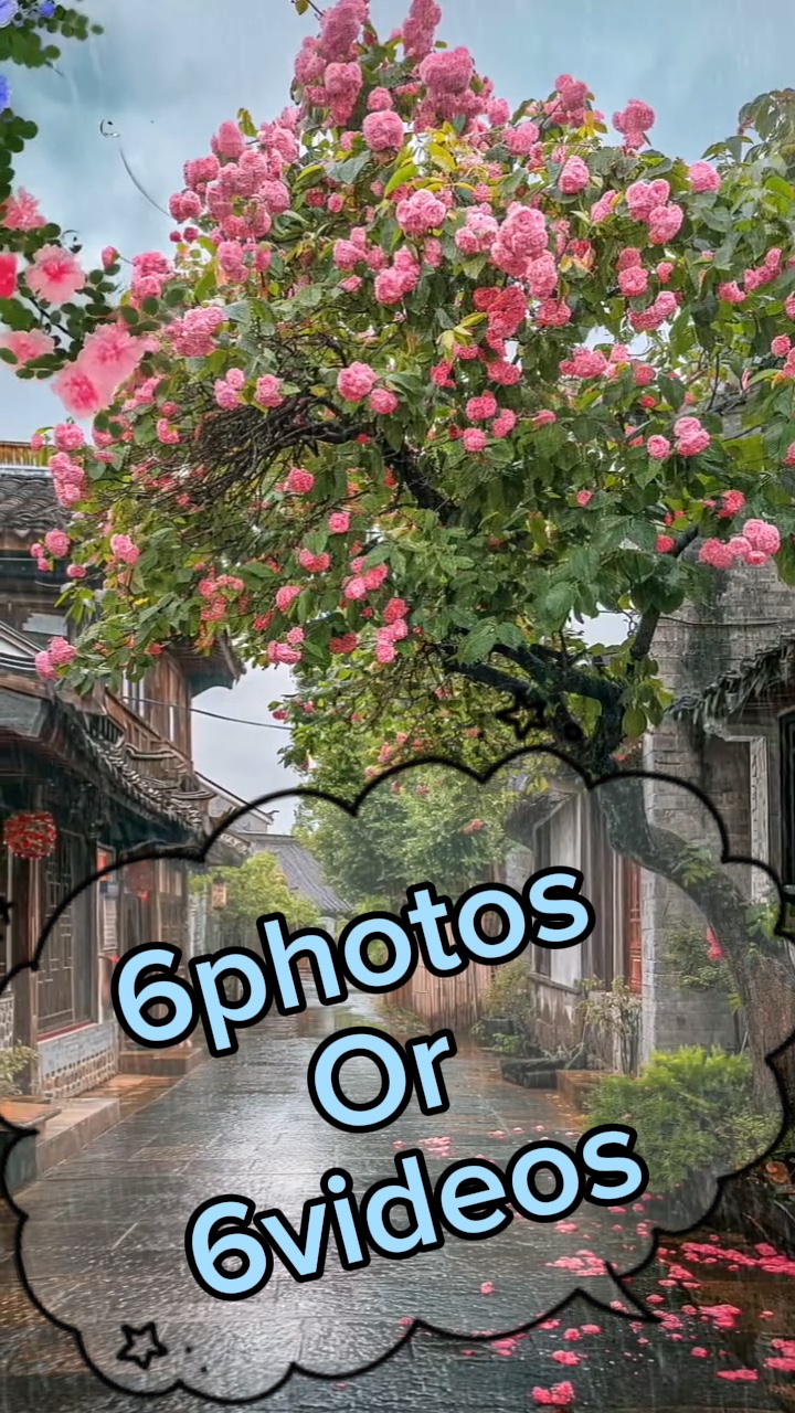 6photos/videos