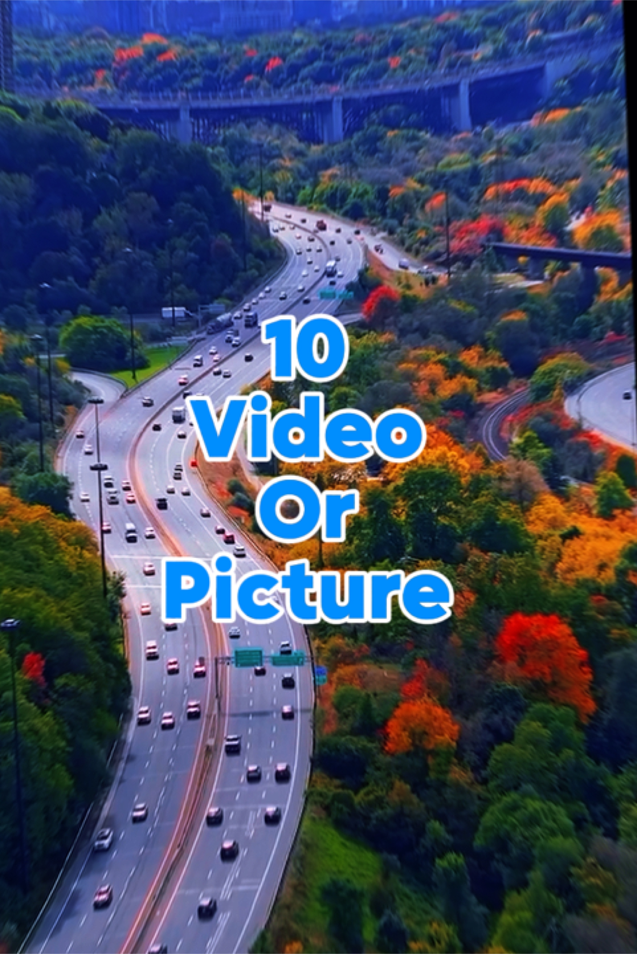 10 video or picture 