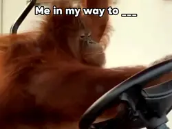 On My Way To ___