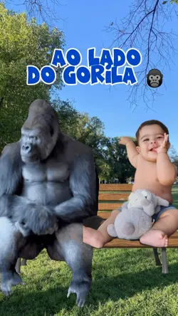 ao lado do Gorila