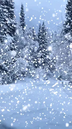 Heavy snowfall