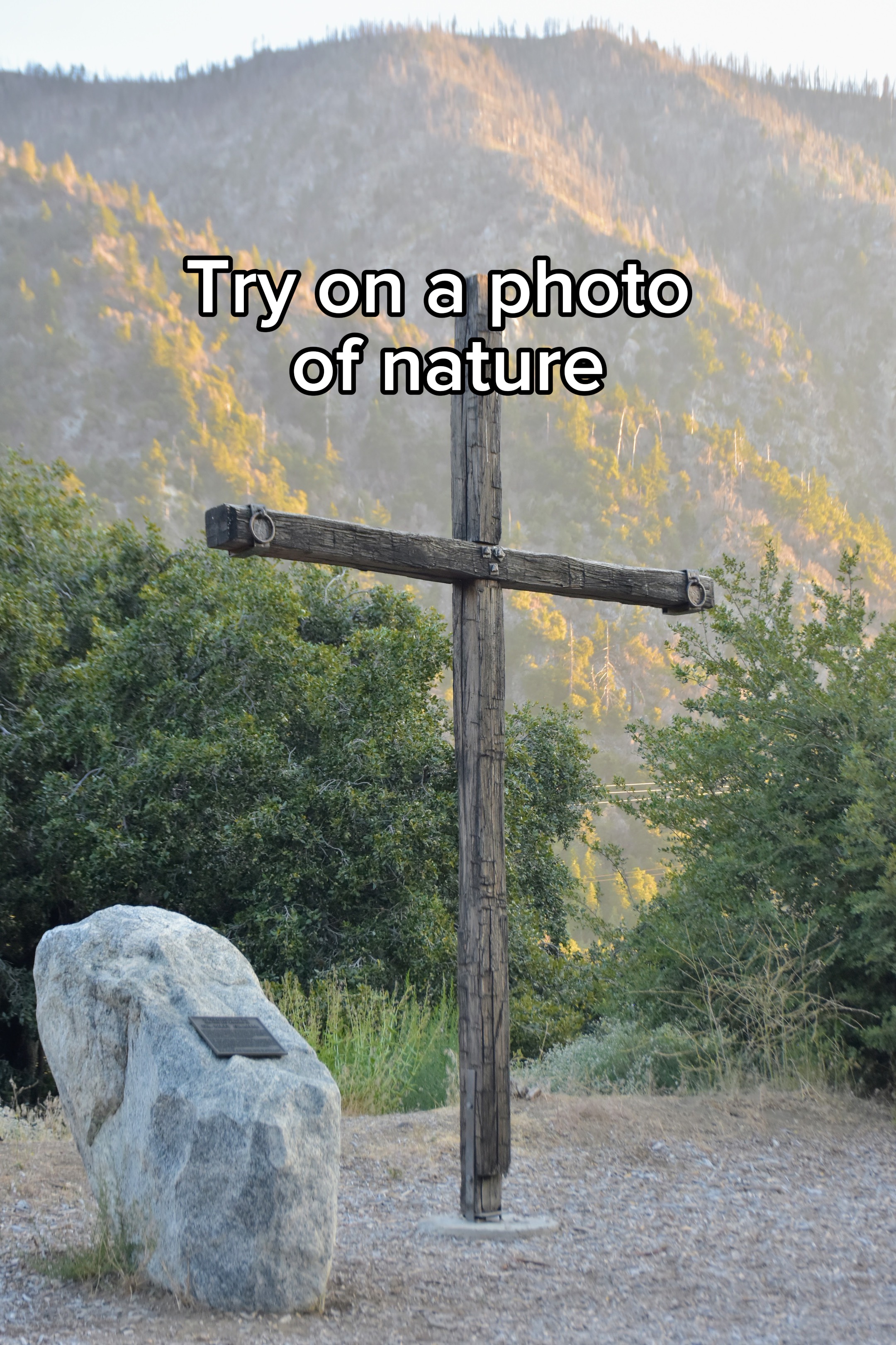 Fotoğraf
