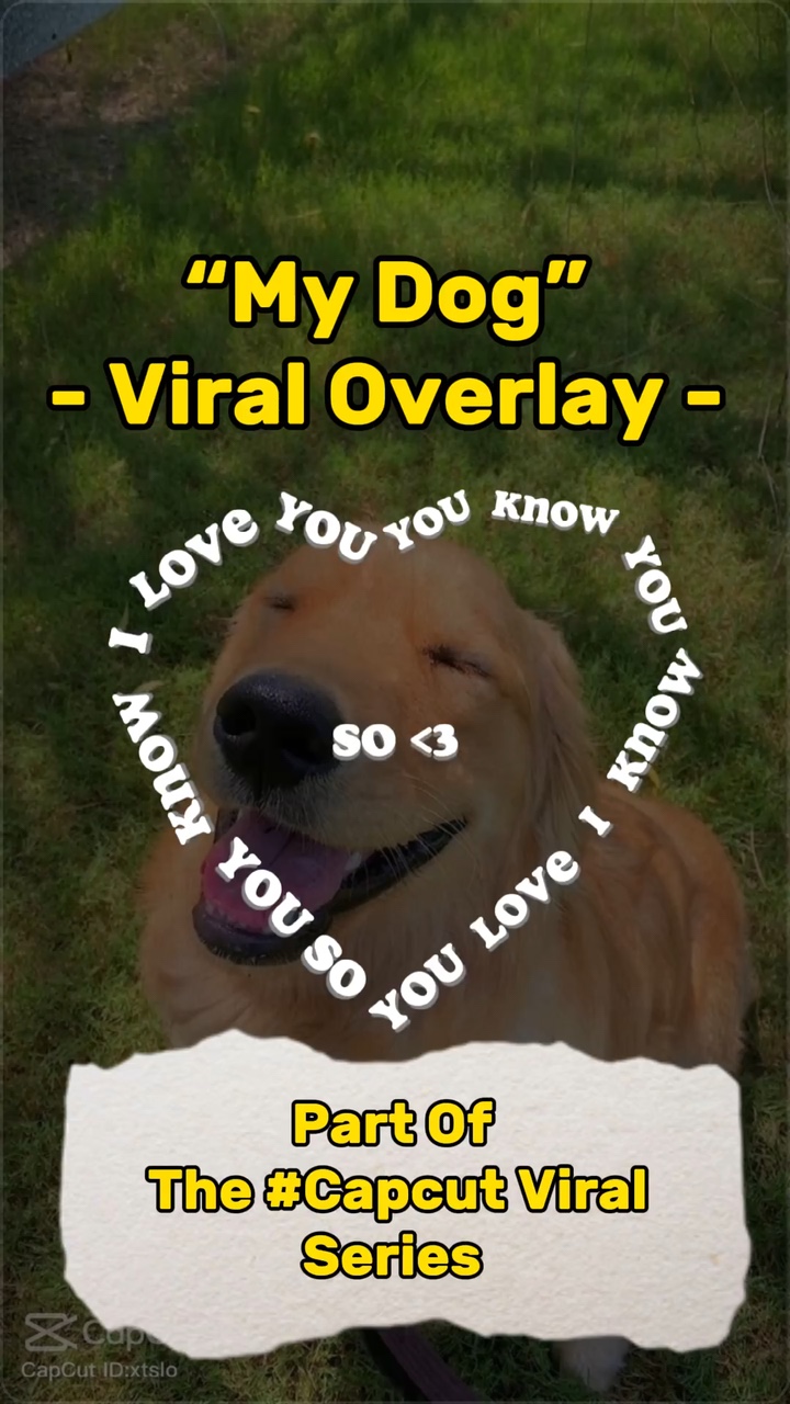 "Mi Perro" Viral 💔✨