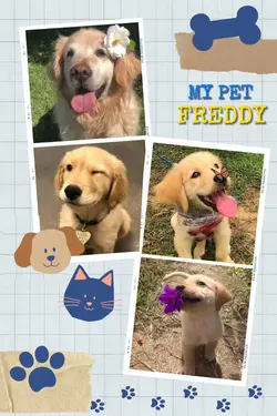 my pet