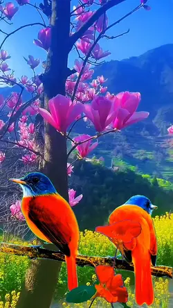 Lovebird
