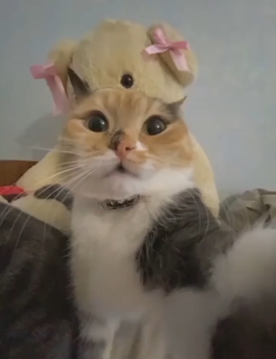 chat rizz