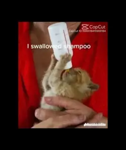 Swallowed shampoo