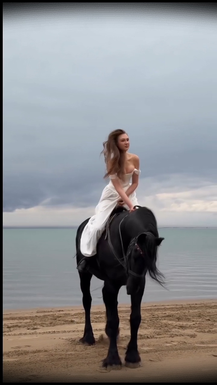 Modelo de cavalo
