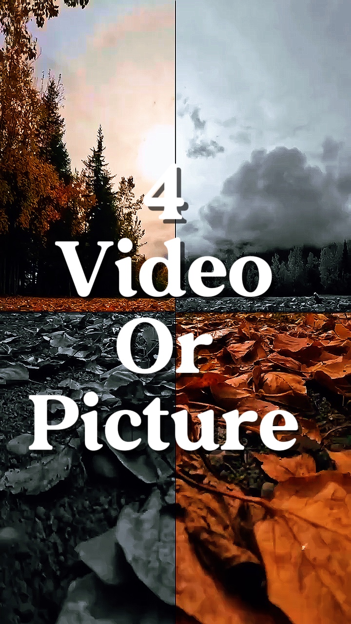 4 video o imagen 