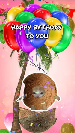 happy birthday to π«΅π»π₯₯