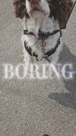 BORING