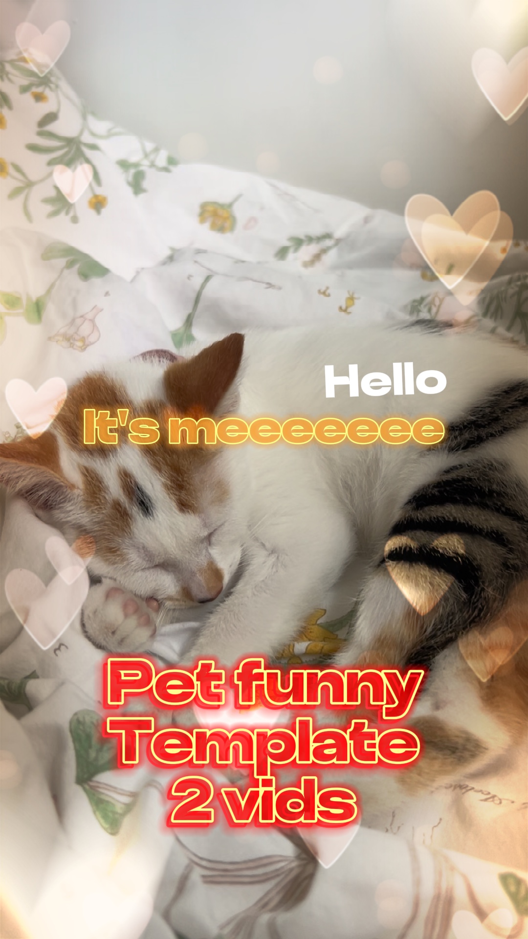 Hello, it's meeeeee~