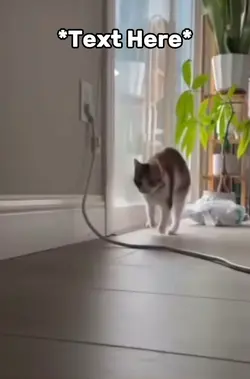 Cat-Rex meme