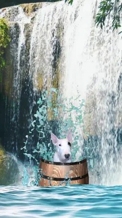 Waterfall Splash