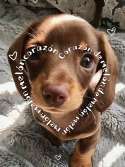 Corazon de melon
