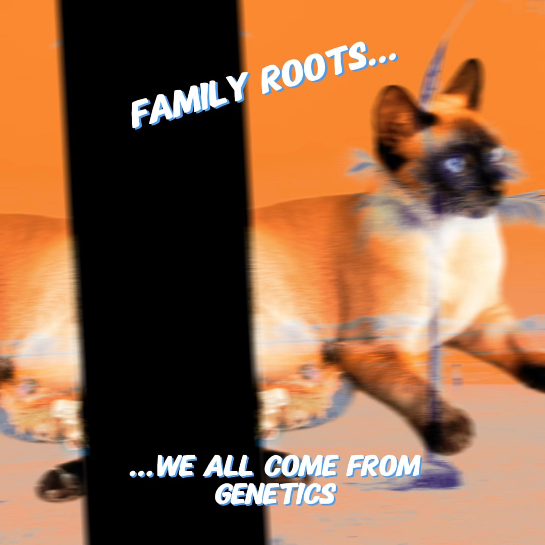 Family Tree Template