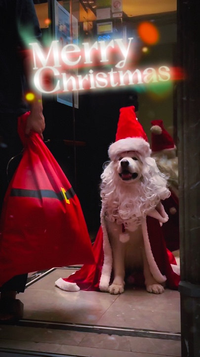Feliz Navidad 