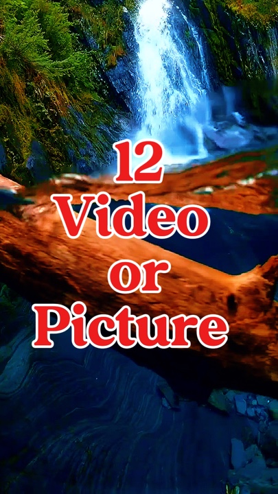 12 video or picture 
