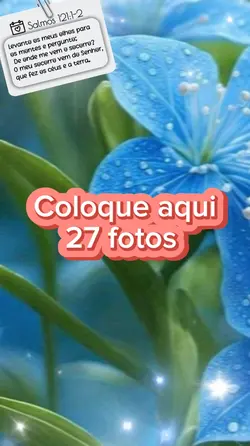 27 fotos aqui