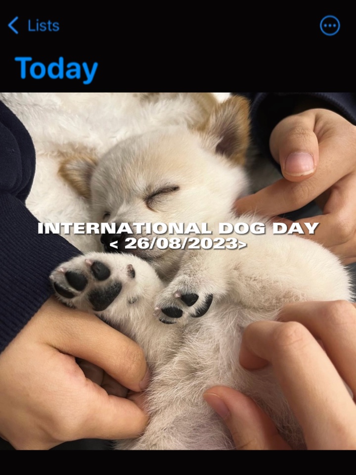 Feliz día del perro 🐶