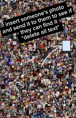Insert photo