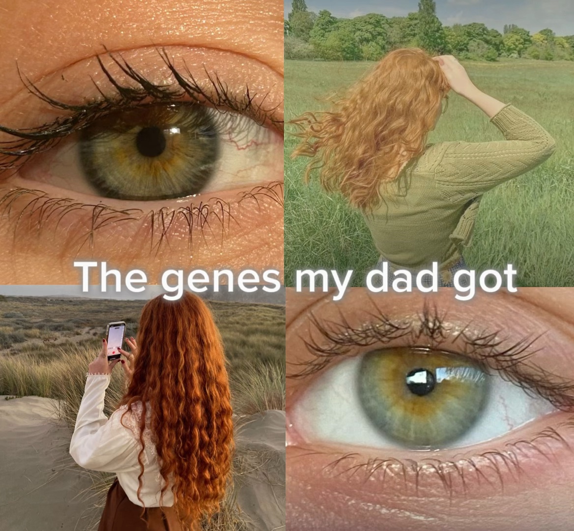Os genes que eu tenho