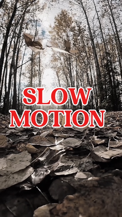 Slow motion 