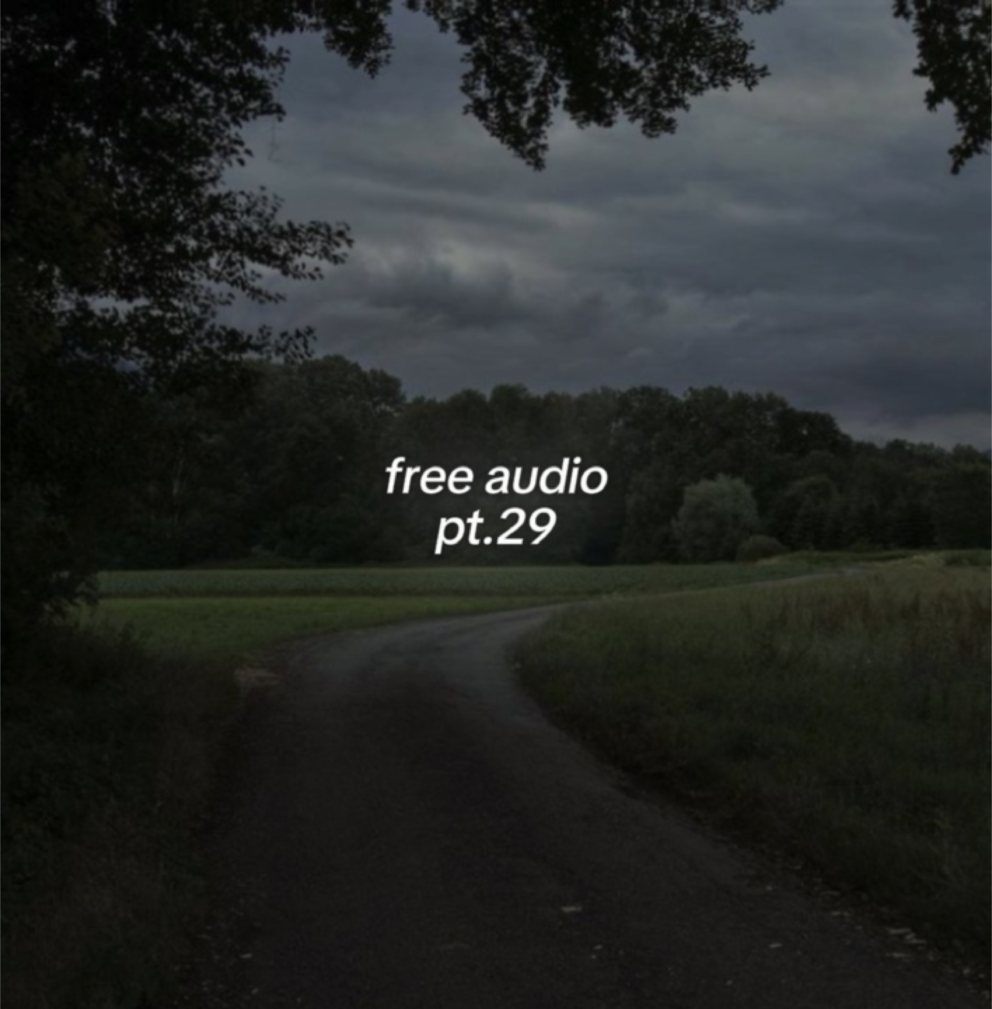 free audio pt.29