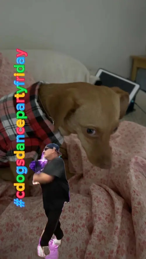 DangerZ CDog Freitag