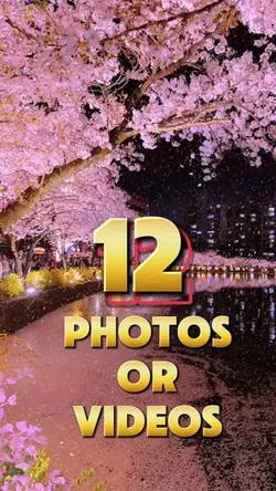 12 photos or videos