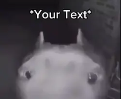 Ding Dong Dog
