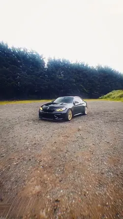 Car free edit