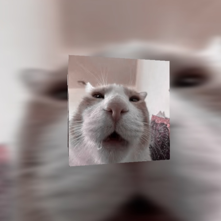 Pengeditan kucing