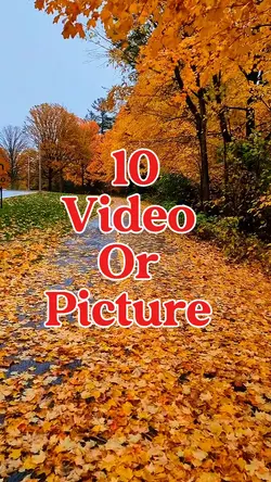 10 video or picture 