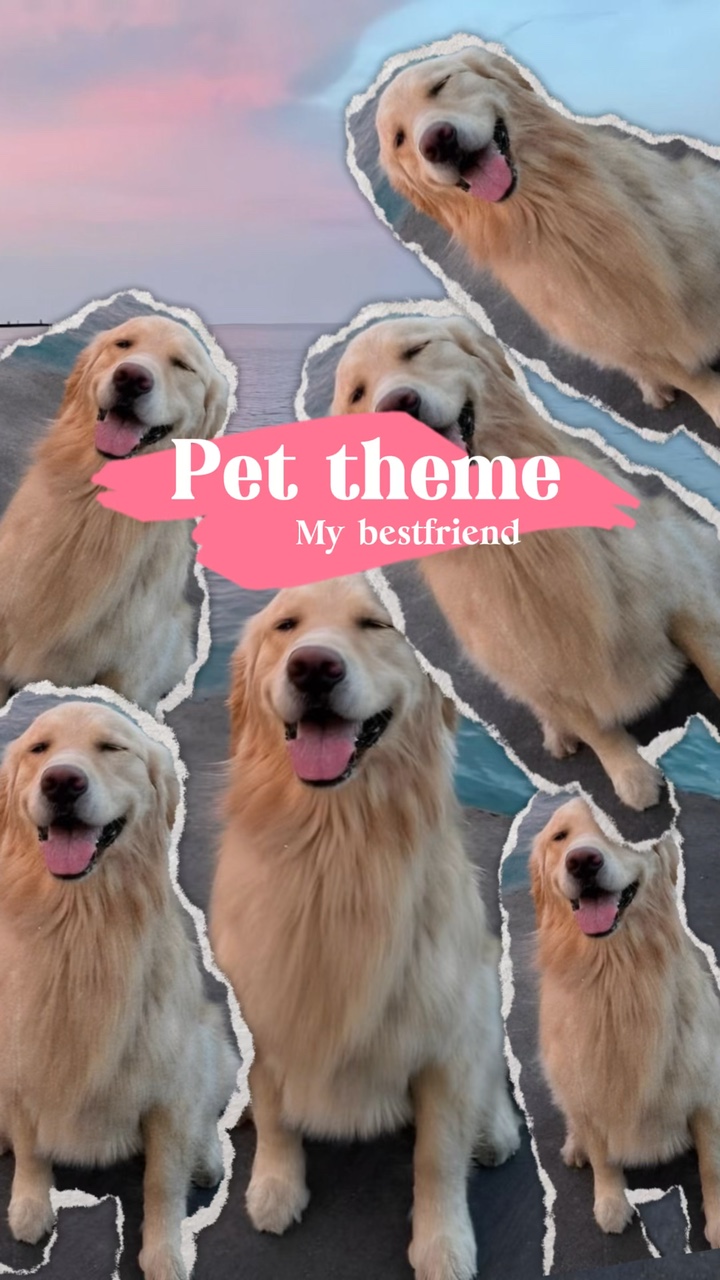 Mi mejor amigo 