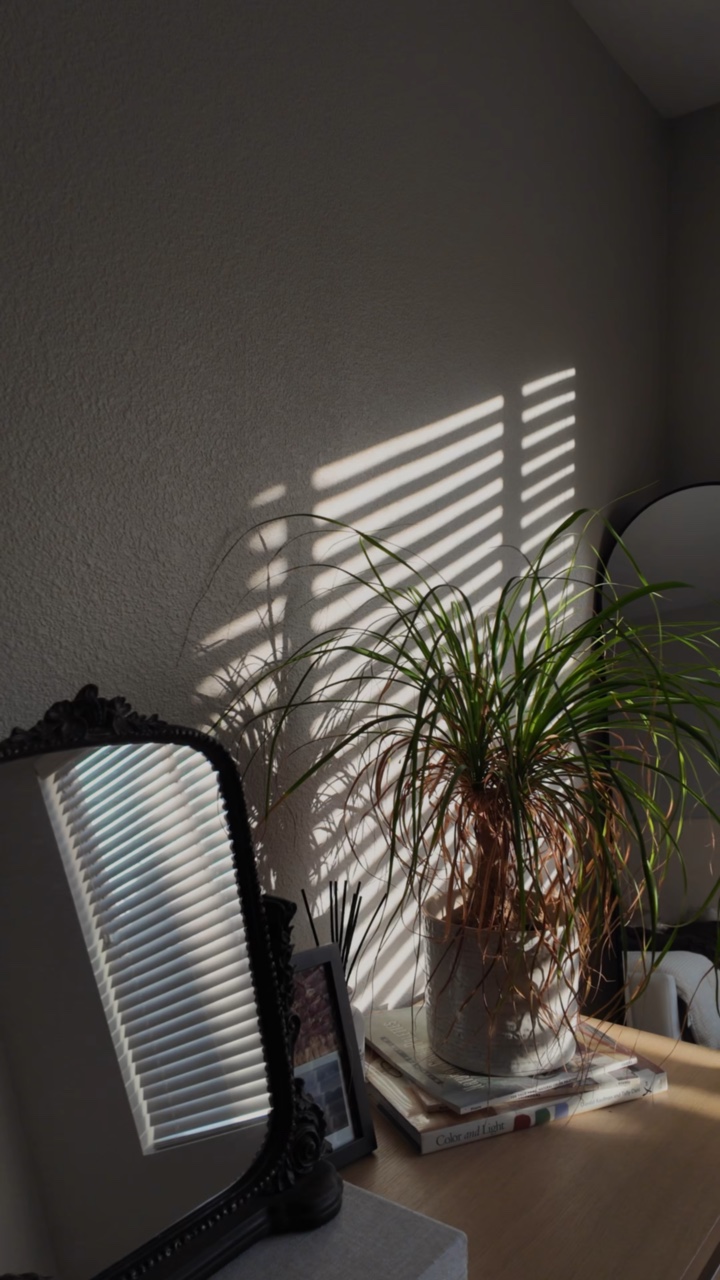 morning sun 🤎